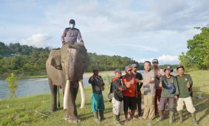Pusat Latihan Gajah Seblat 